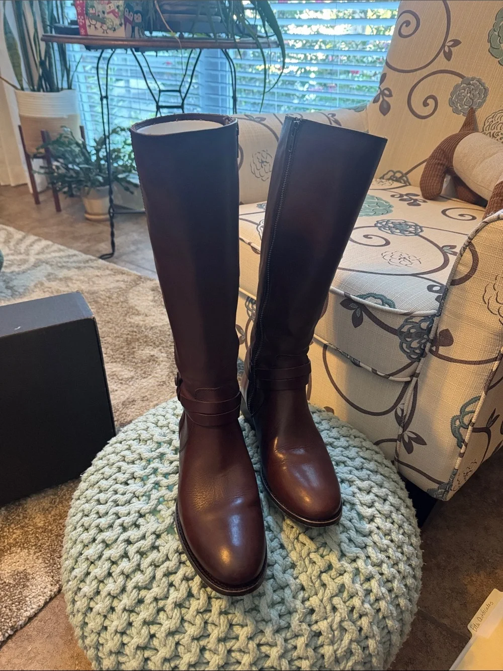 Frye Women's Melissa Belted Tall Riding Boots in Dark Brown Leather